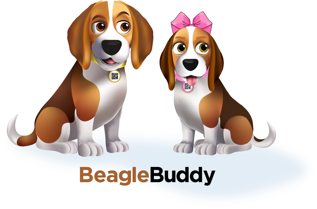 beaggle buddy